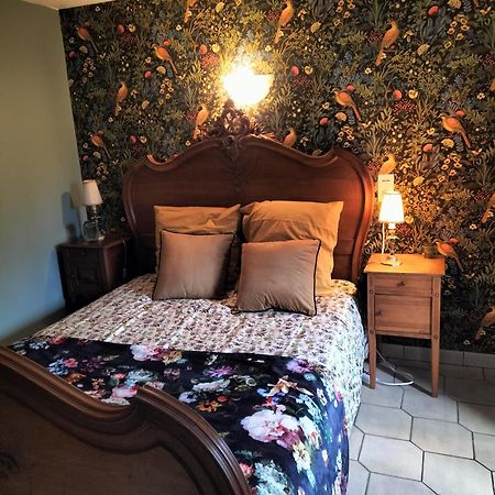 Les Hortensias La Souris Des Champs Étival-Clairefontaine Екстериор снимка